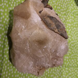 Natural Beige Reptile Habitat Rock